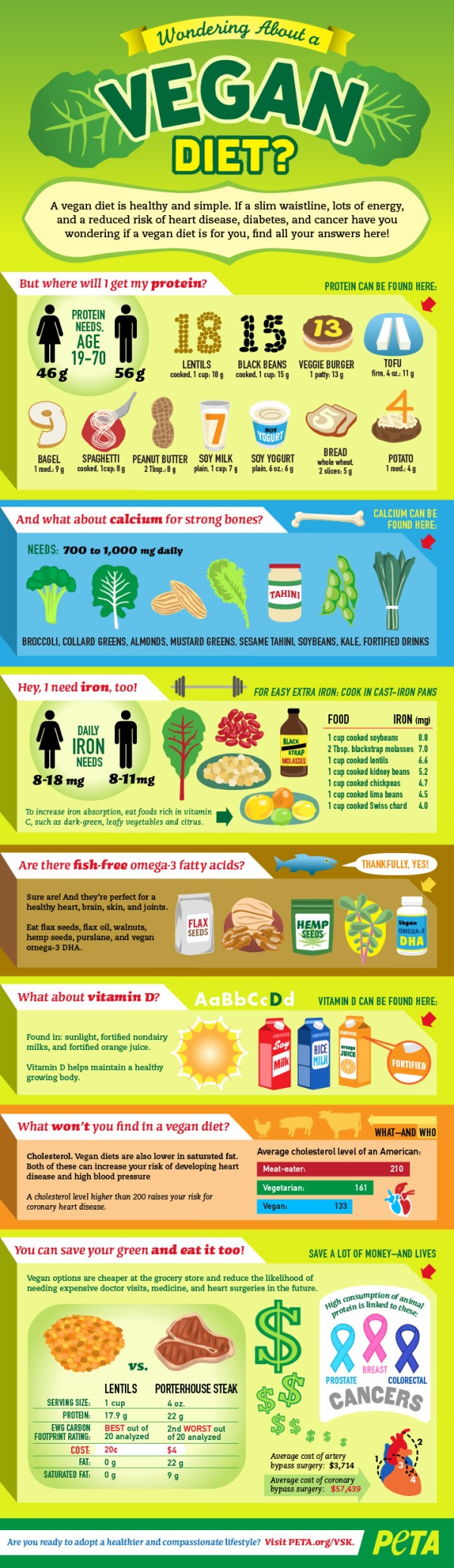 Wondering About a Vegan Diet?